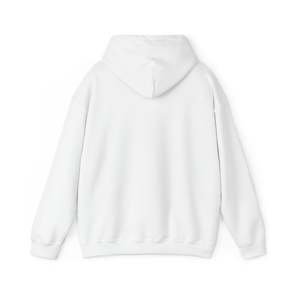 Anxious But Functioning Hoodie | mental health humor, retro wavy text