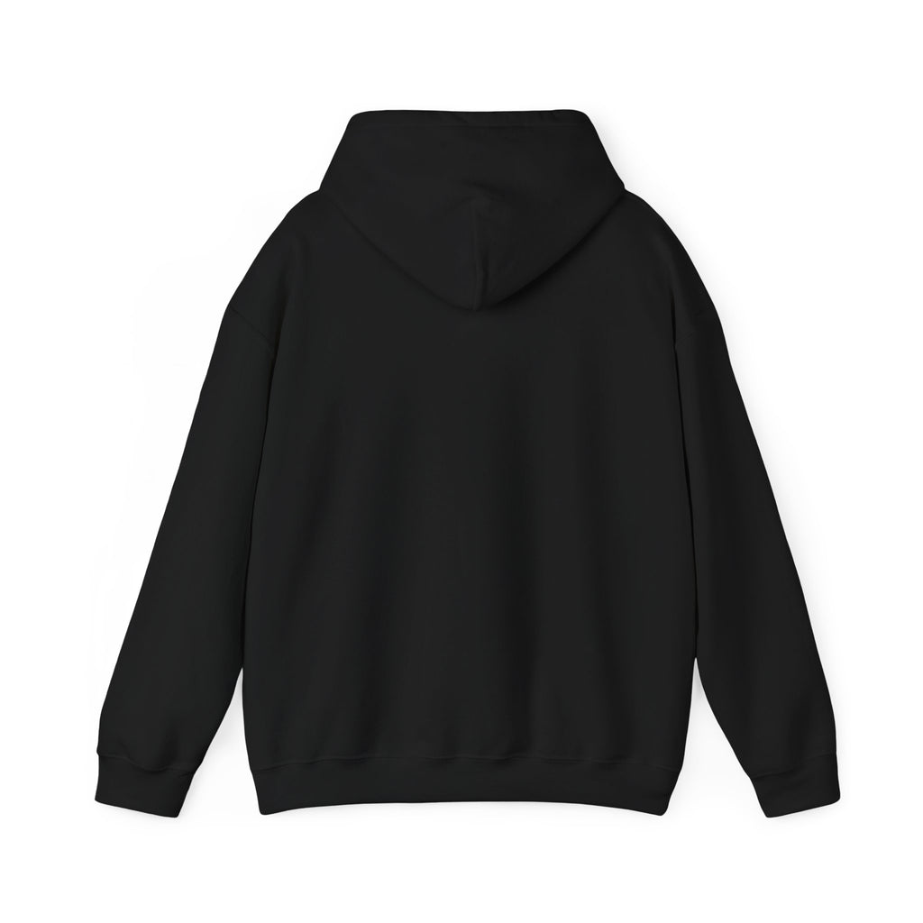 Anxious But Functioning Hoodie | mental health humor, retro wavy text