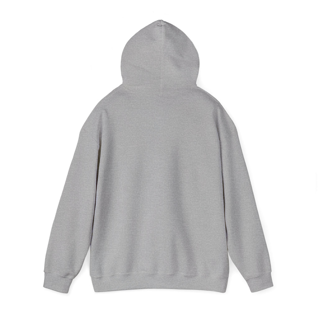 Topographic Contour Mountain Hoodie | topographic map print, contour line design