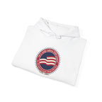USA 250 Vintage Distressed Seal Hoodie | 1776–2026 Memorial Day Americana