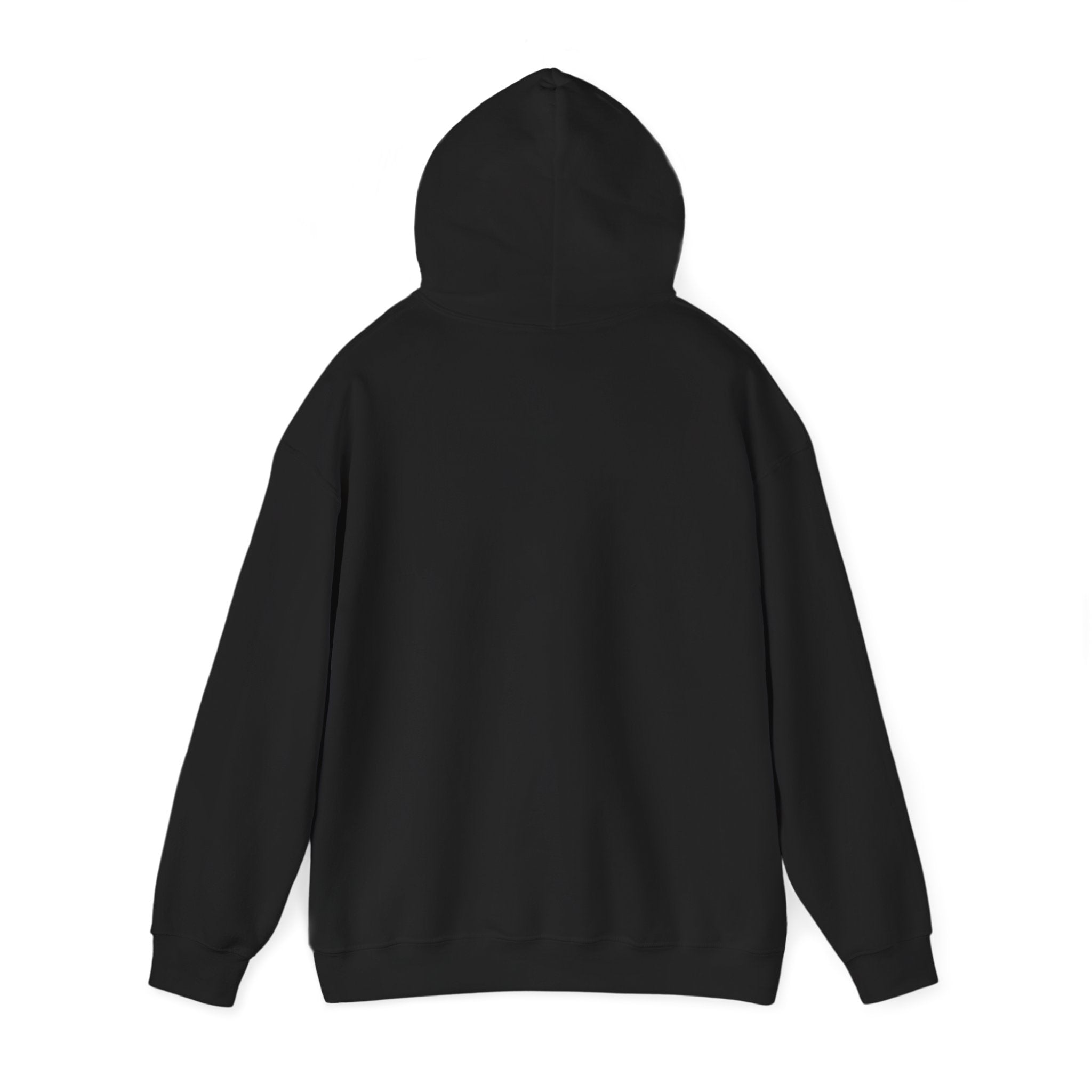 Anxious But Functioning Hoodie | mental health humor, retro wavy text